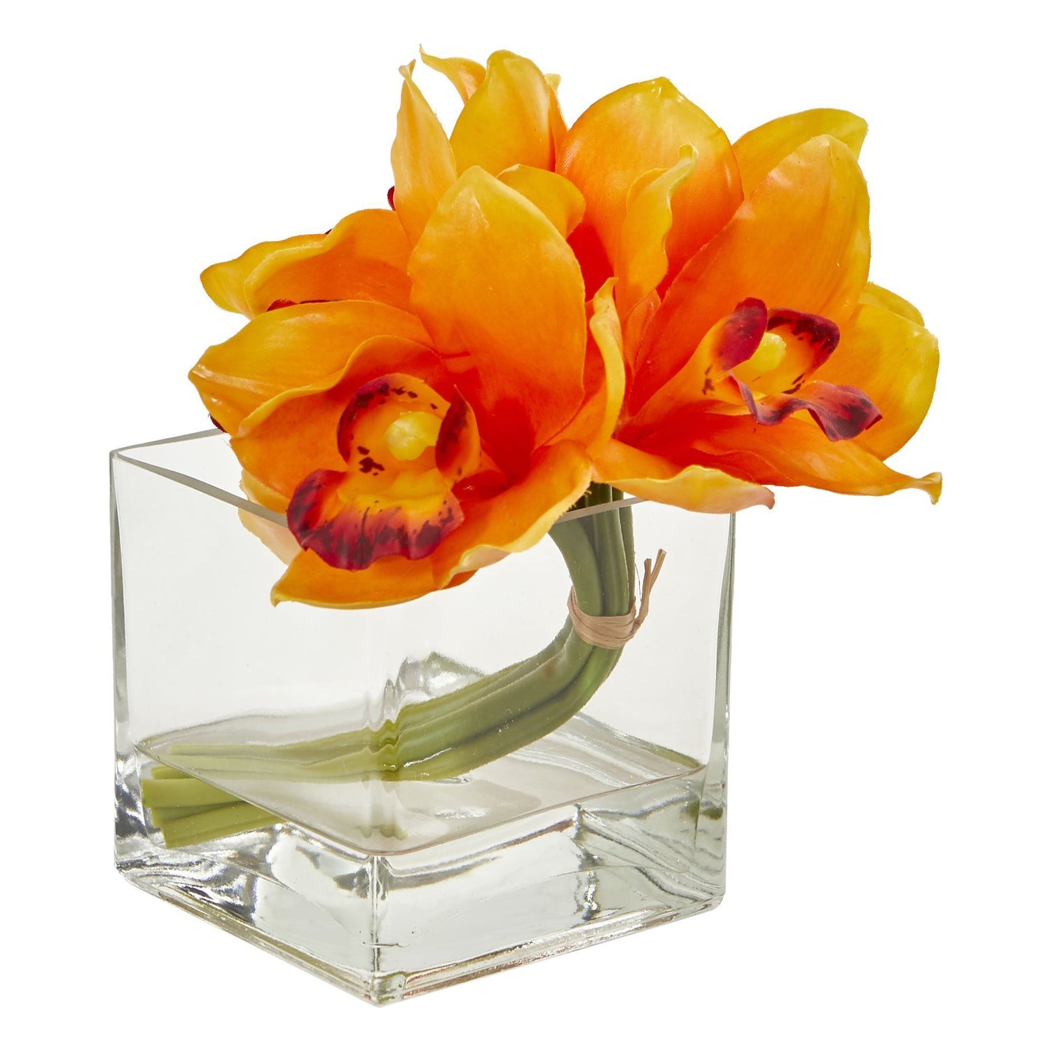 兰花兰花人工安排玻璃花瓶(组2)
