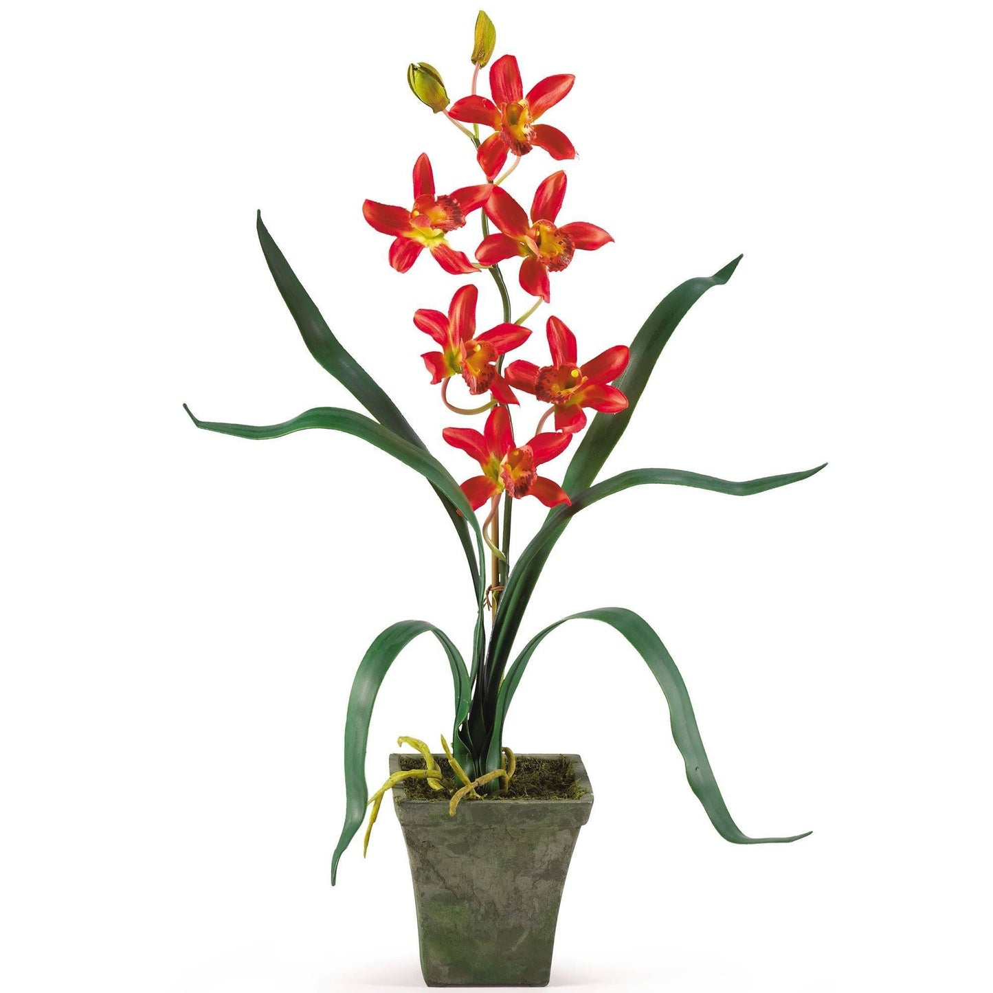 Cymbidium Orchid W Vase Set Of 3 Nearly Natural