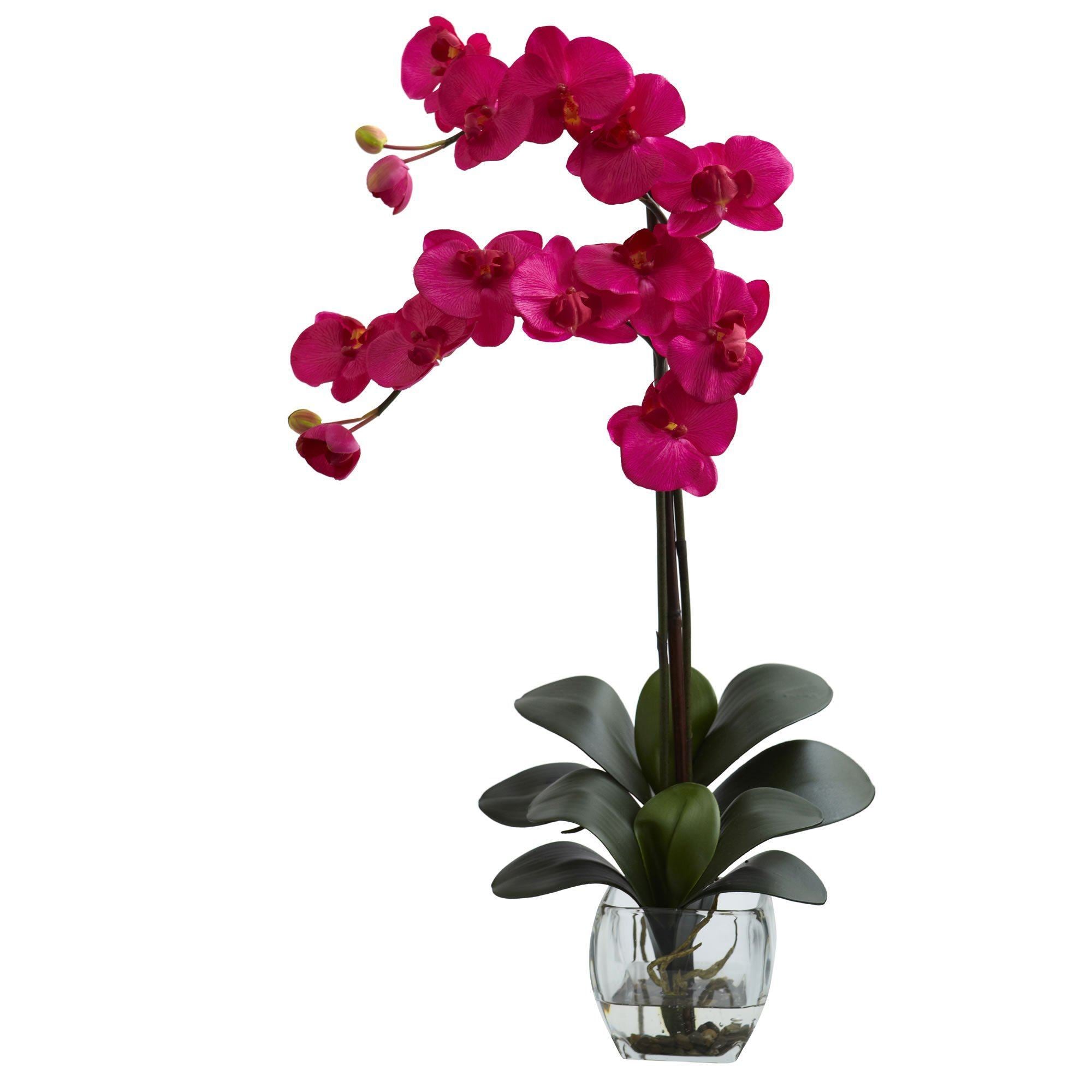  Double Phal Orchid w/Vase Arrangement 