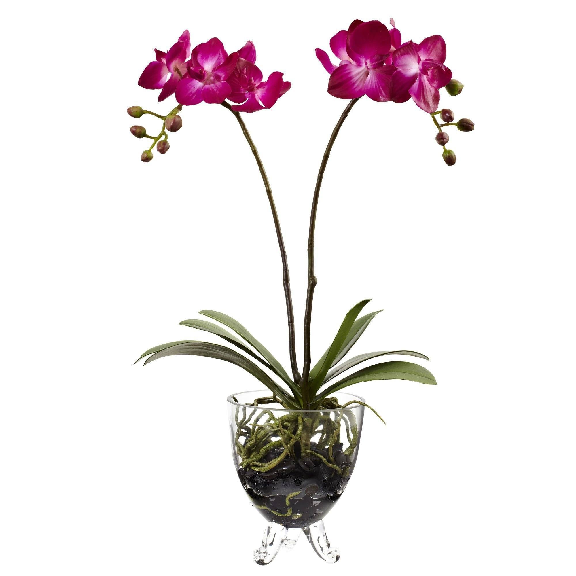 Nearly Natural Double Phalaenopsis Elegance Silk Artificial Flower Arrangement
