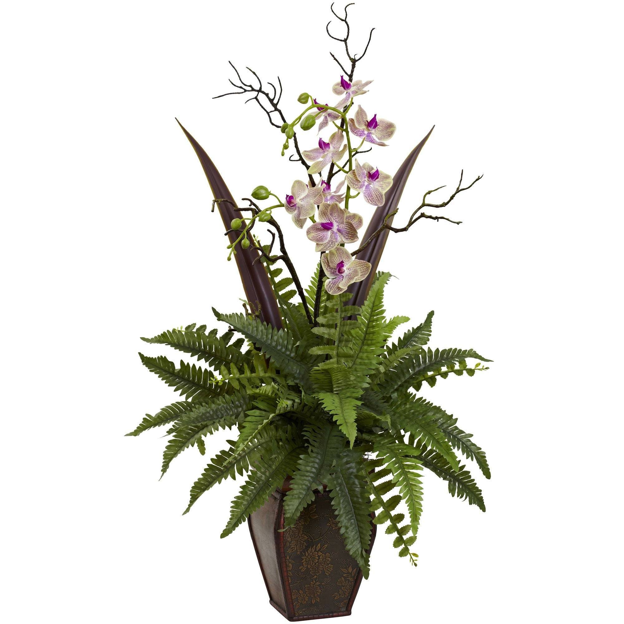  Fern & Orchid Arrangement 