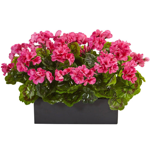 Geranium in Rectangular Planter UV Resistant (Indoor/Outdoor) 6949 ...