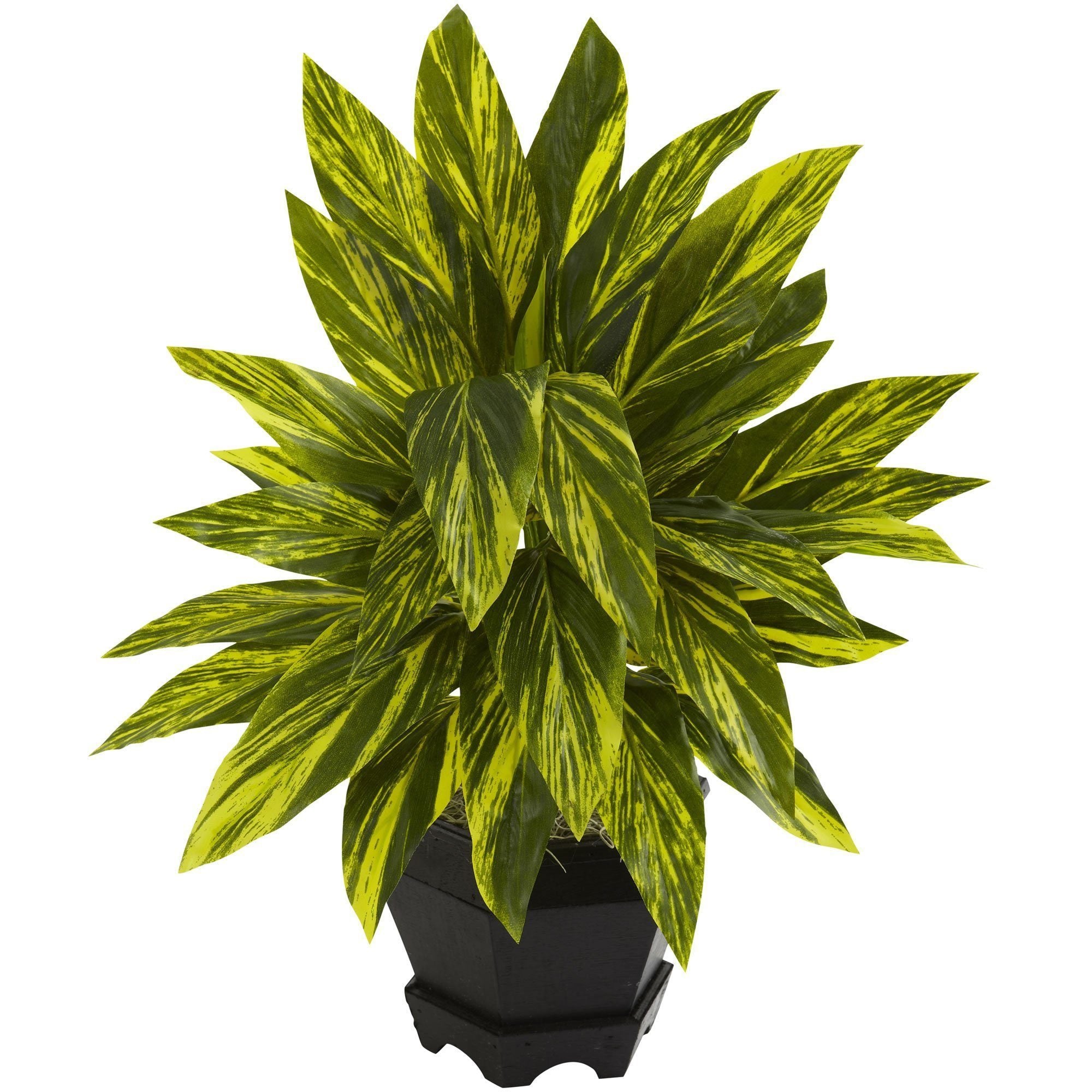 Black plants. Искусственные растения черные. Silk Plant. Decorate realistic leaves.