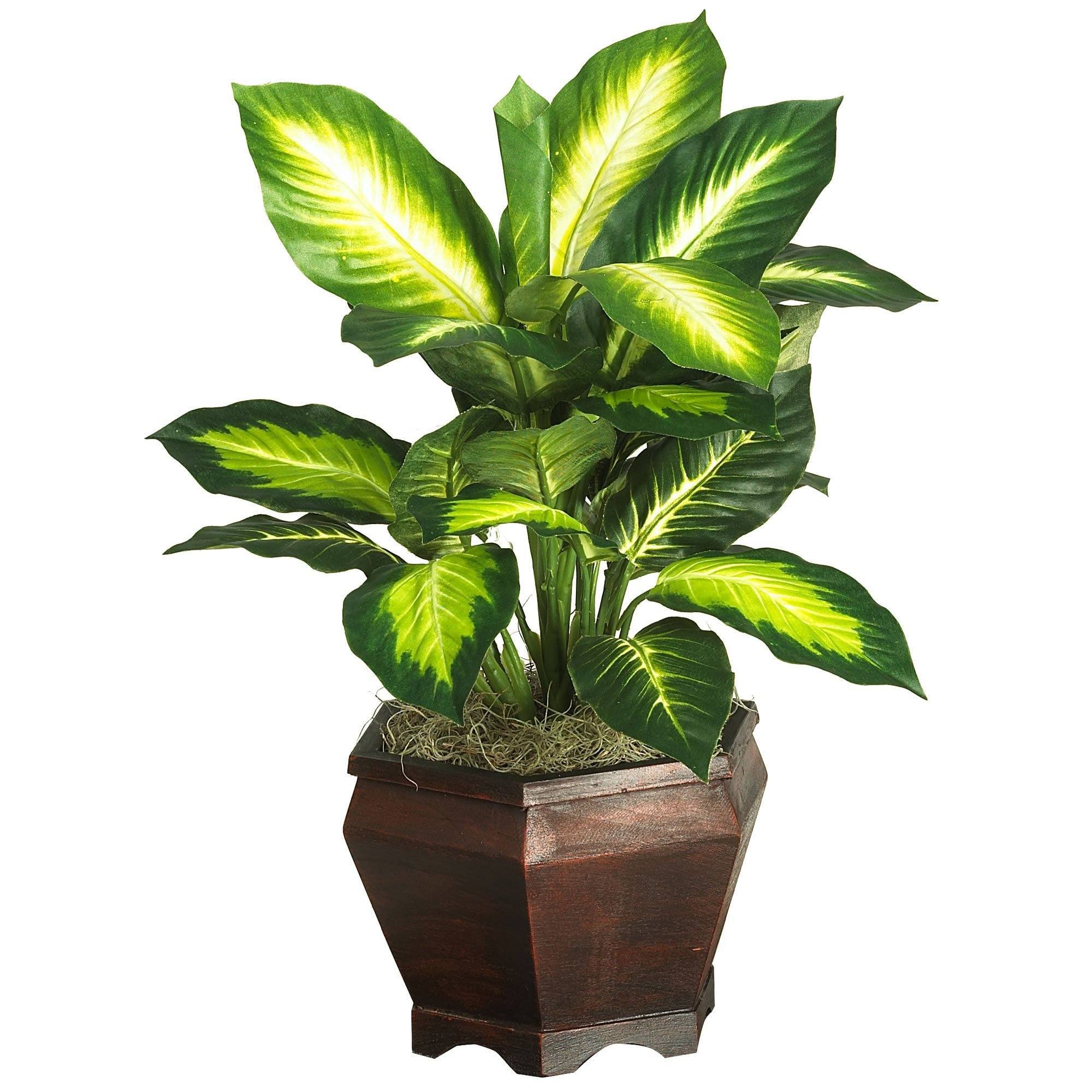  Golden Dieffenbachia w/Wood Vase Silk Plant 