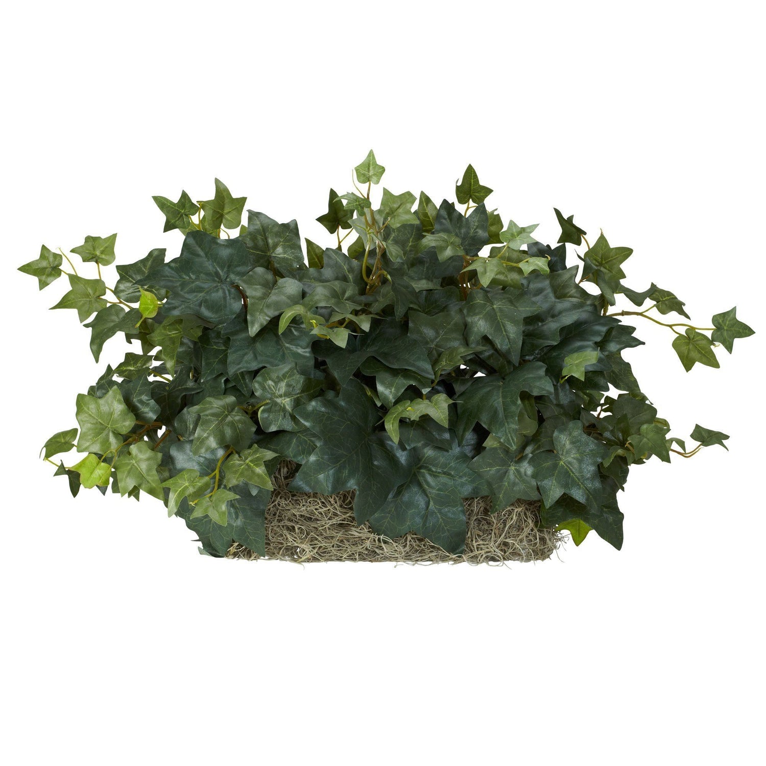 Nearly Natural Ivy with White Wash Planter Silk Plant