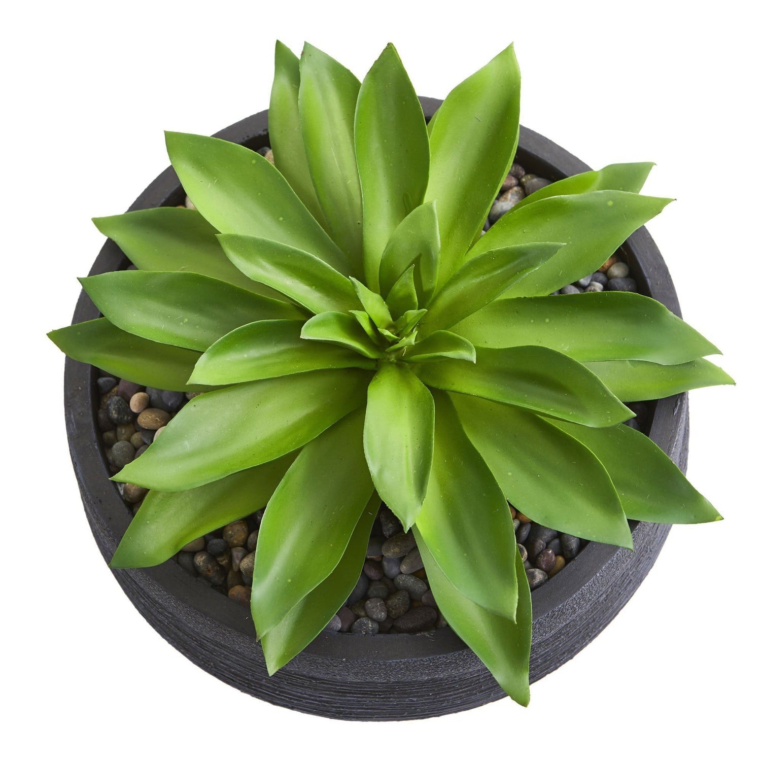 Large Succulent Artificial Plant in Decorative Bowl