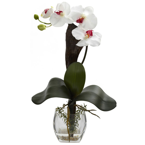 Mini Phal Orchid Arrangement Set Of 3 Nearly Natural 3165