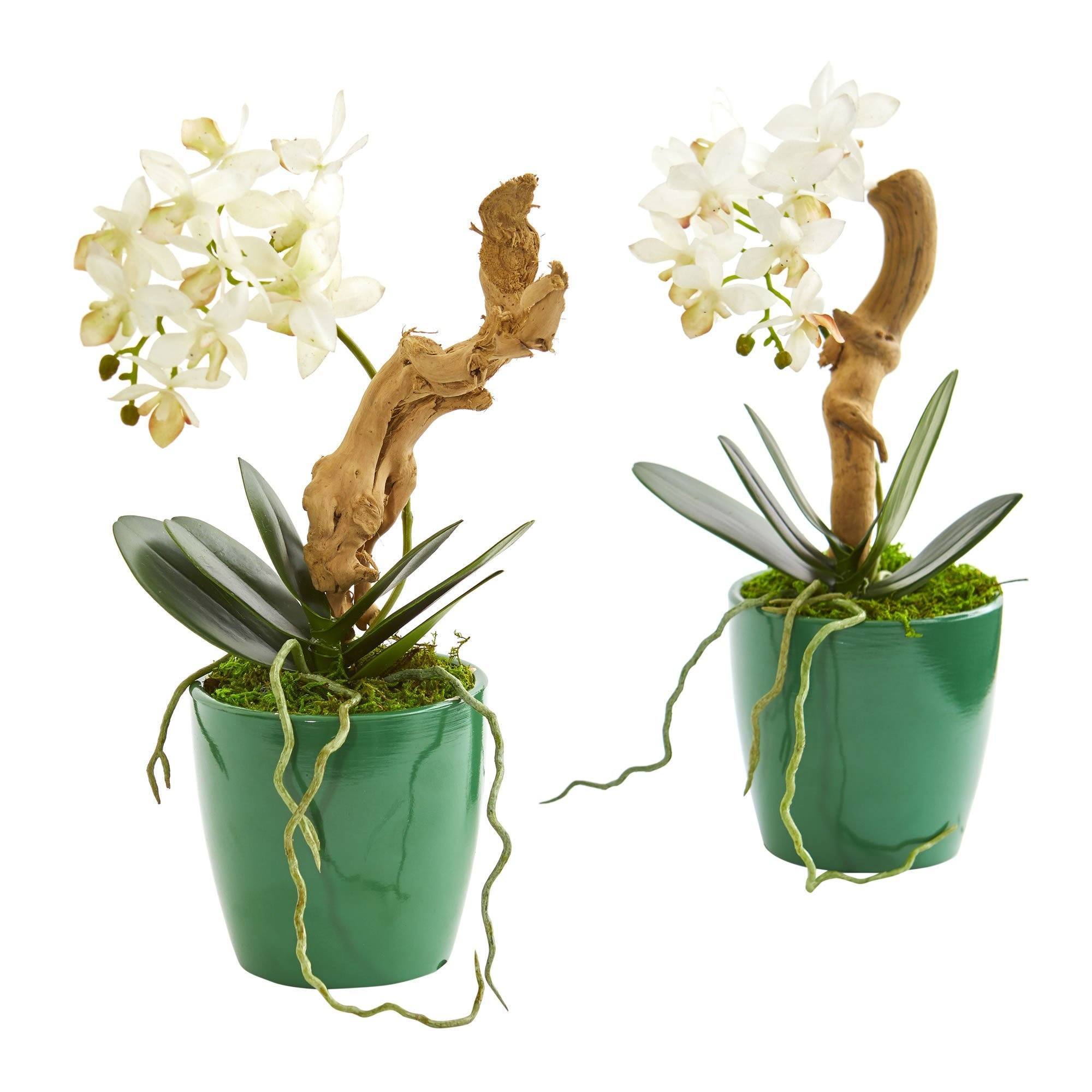 Mini Phalaenopsis Orchid Artificial Arrangement In Green Planter Set Of 2 Nearly Natural 5085