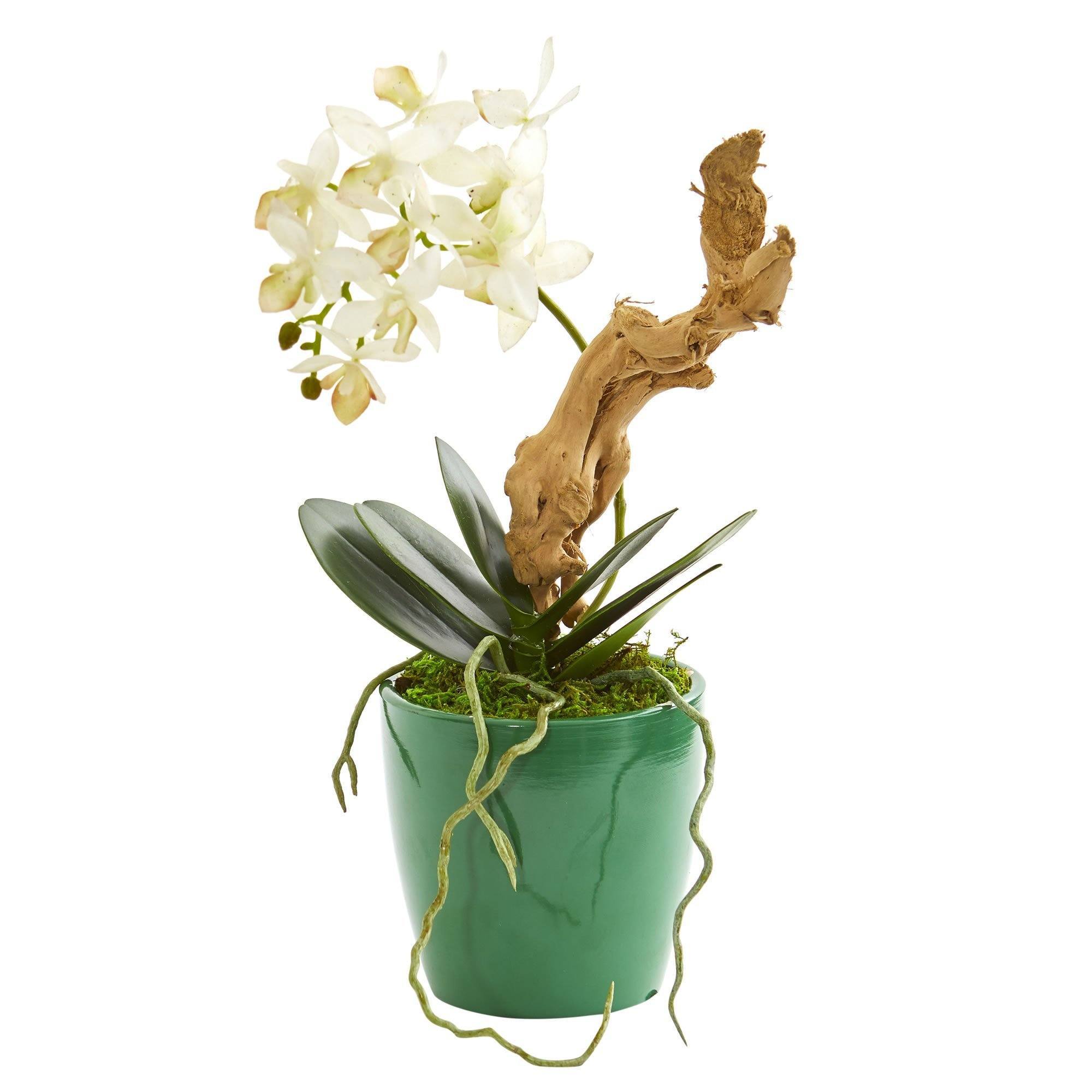 Mini Phalaenopsis Orchid Artificial Arrangement In Green Planter Set Of 2 Nearly Natural 5393