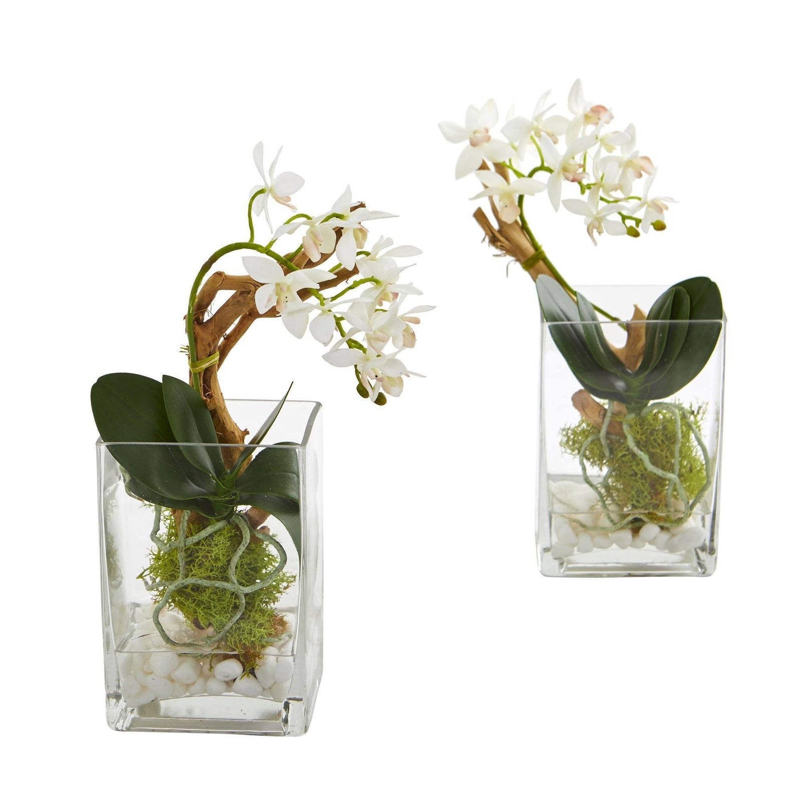 Mini Phalaenopsis Orchid Artificial Arrangement (Set of 2) | Nearly Natural