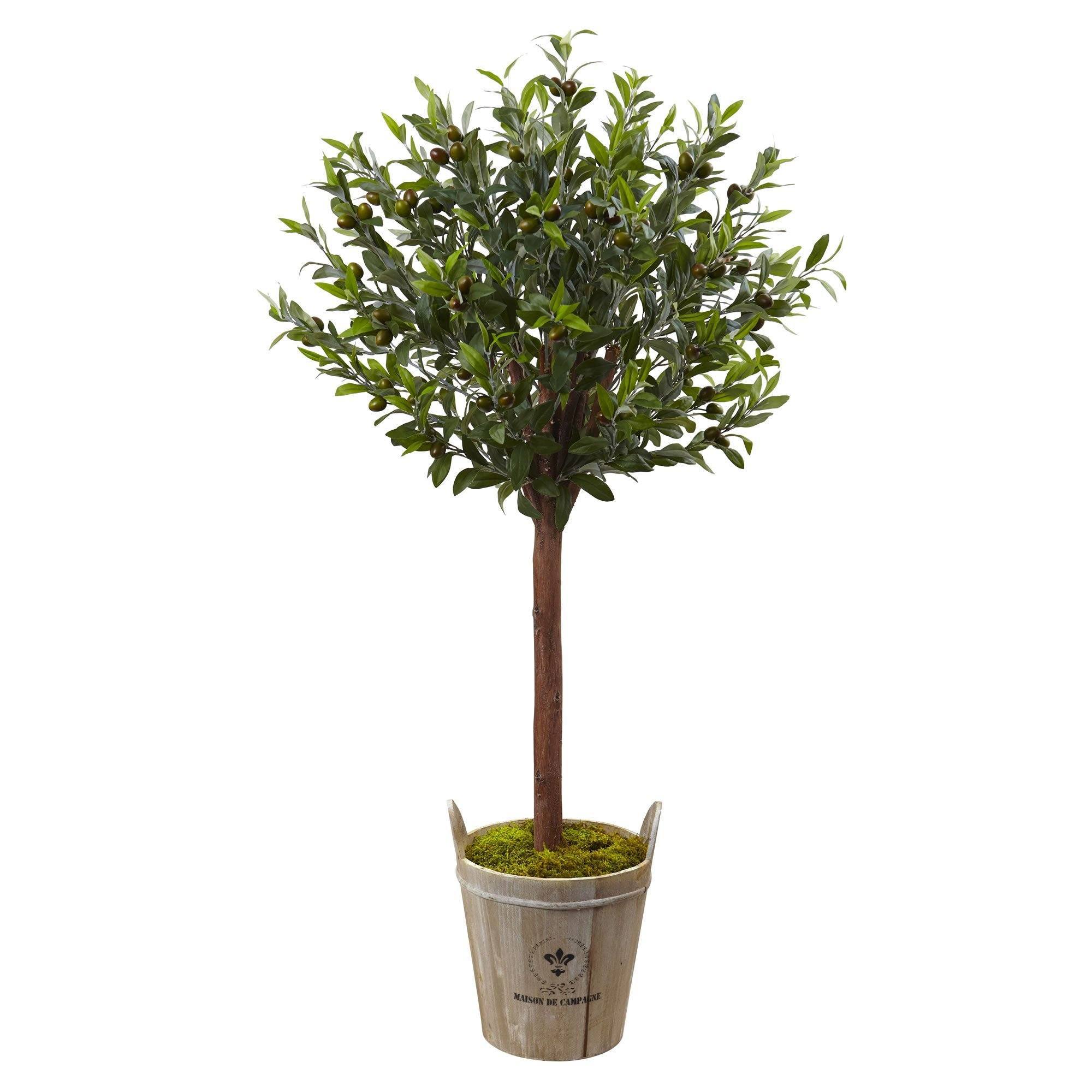  Olive Topiary Tree with Farmhouse Planter 