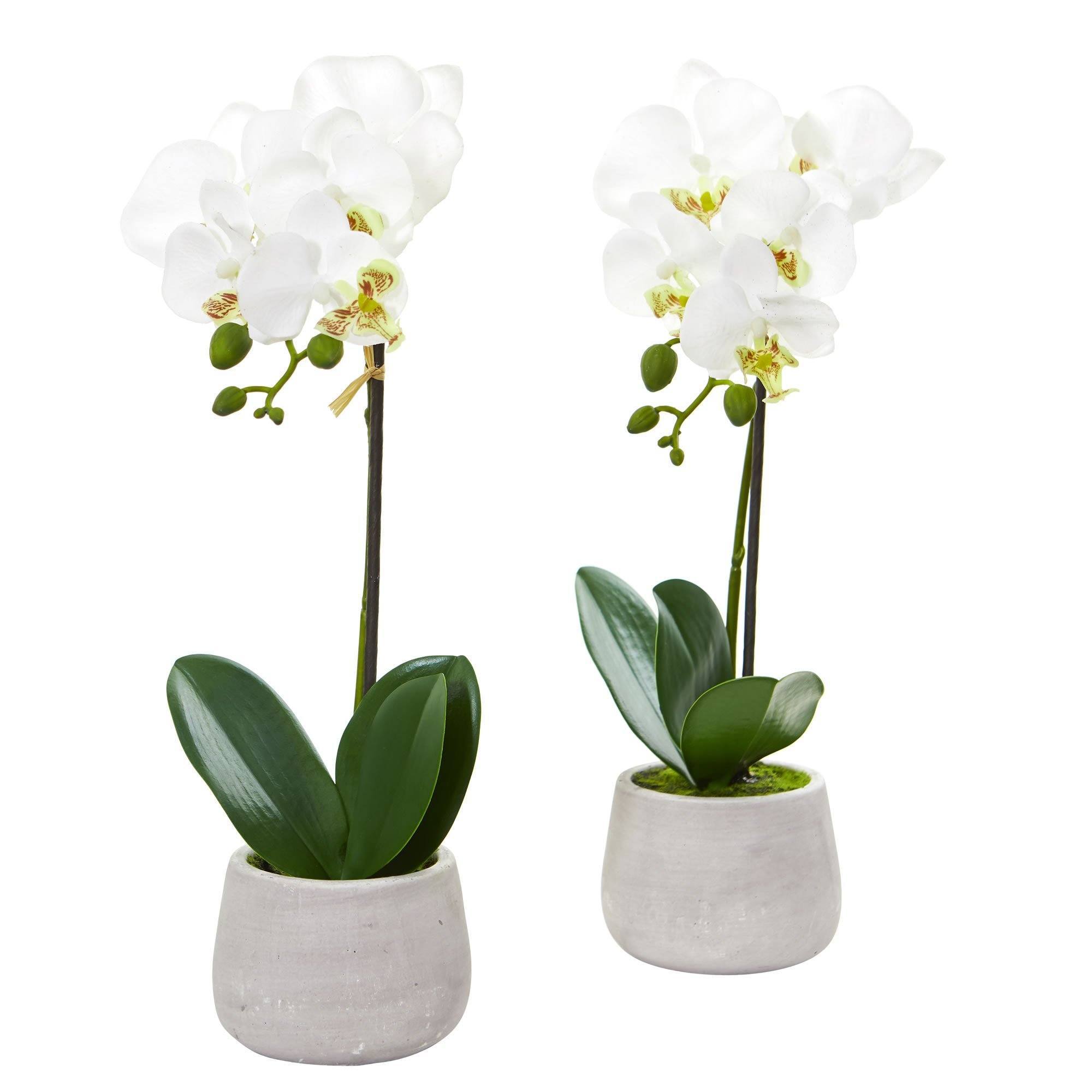  Phalaenopsis Orchid Artificial Arrangement (Set of 2) 