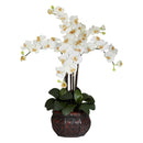 Phalaenopsis w/Decorative Vase Silk Flower Arrangement 1211 Nearly Natural