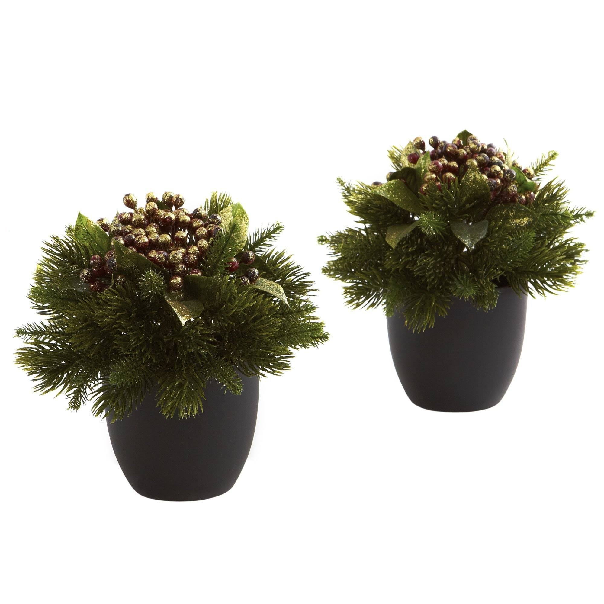  Pine & Berries w/Black Planter (Set of 2) 