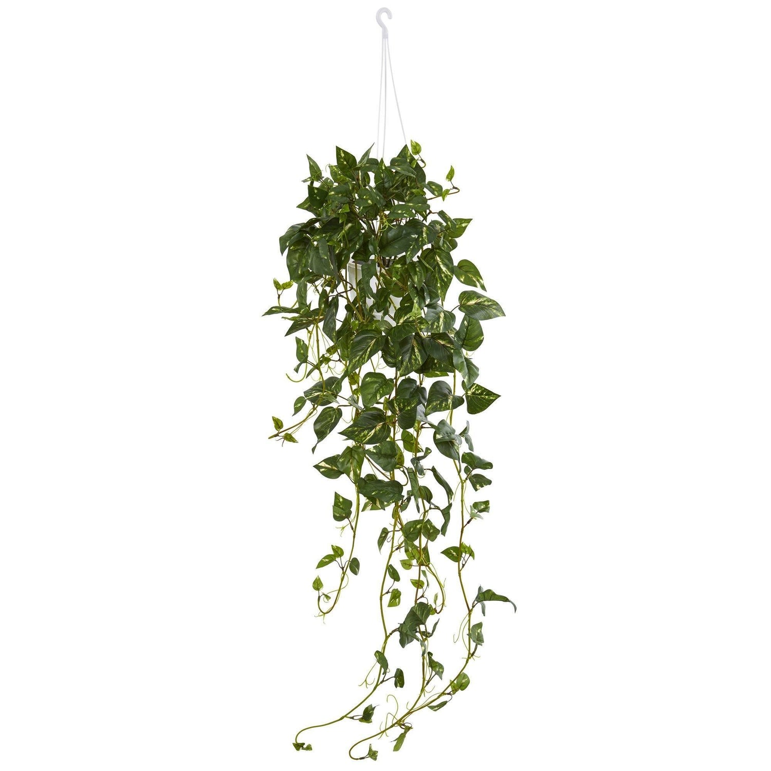 Plants Mini Embroidery String of Pearls Pothos and String of Bananas Small  Wall Hanging -  Israel