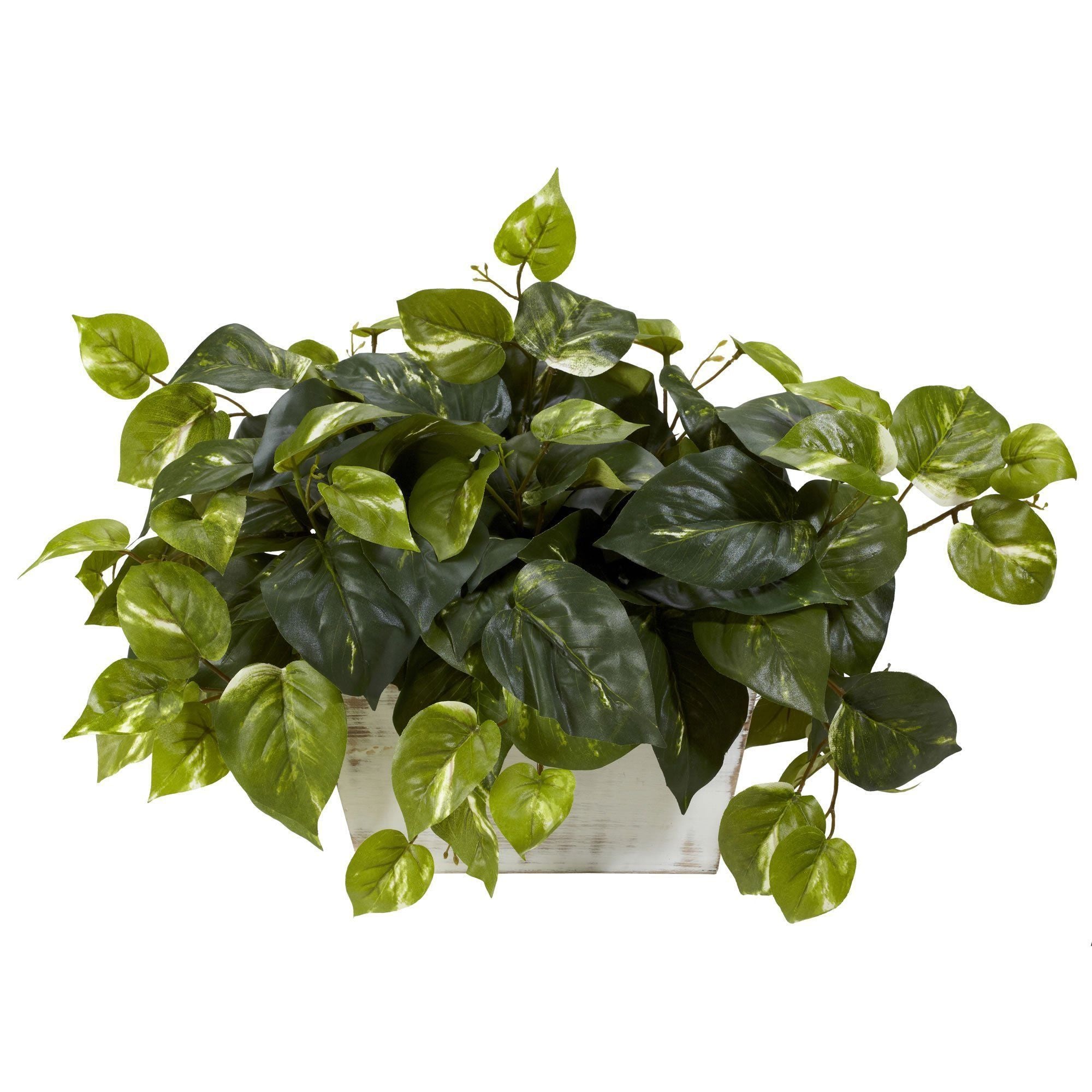  Pothos w/White Wash Planter Silk Plant 