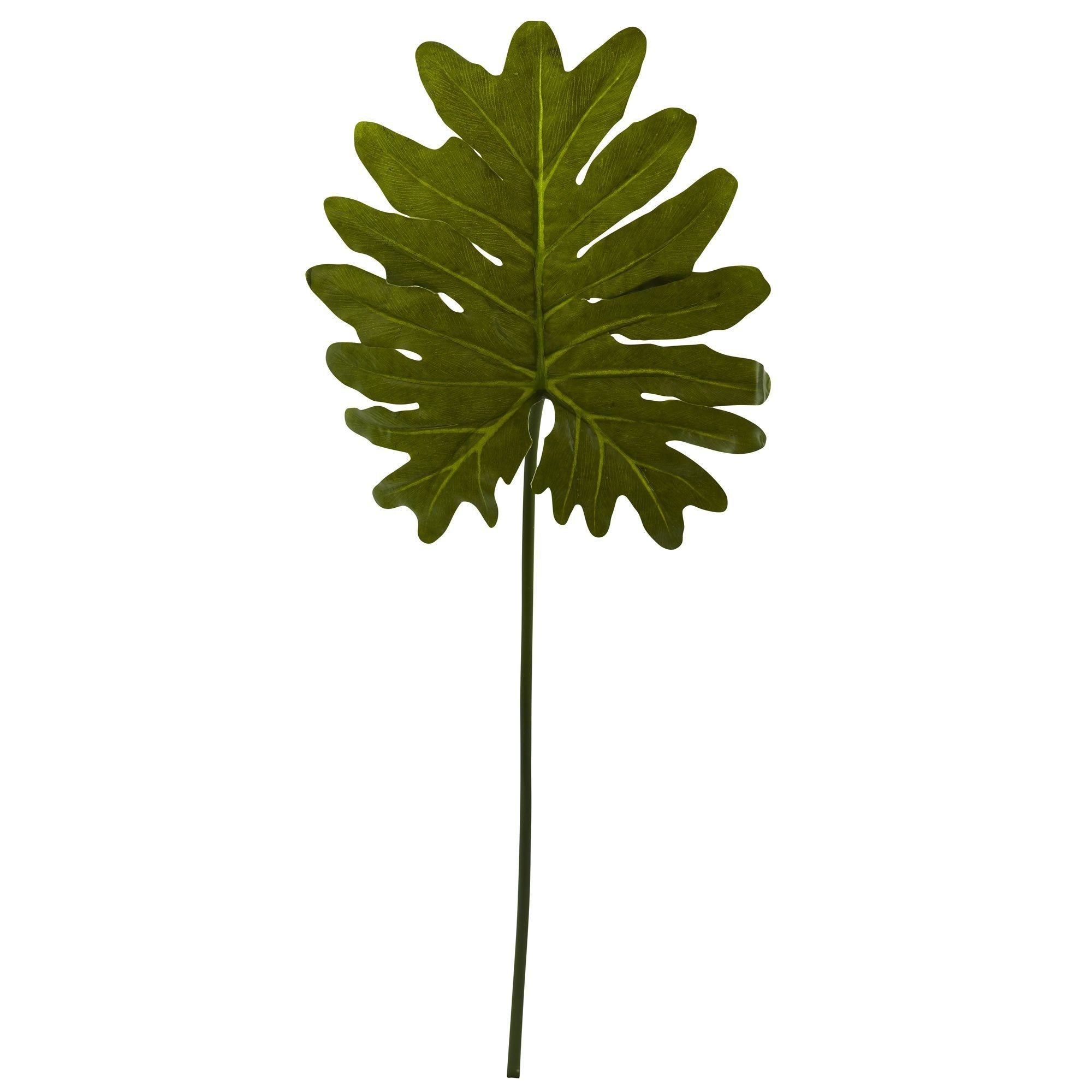  Selloum Philo Single Leaf Stem (Set of 12) 