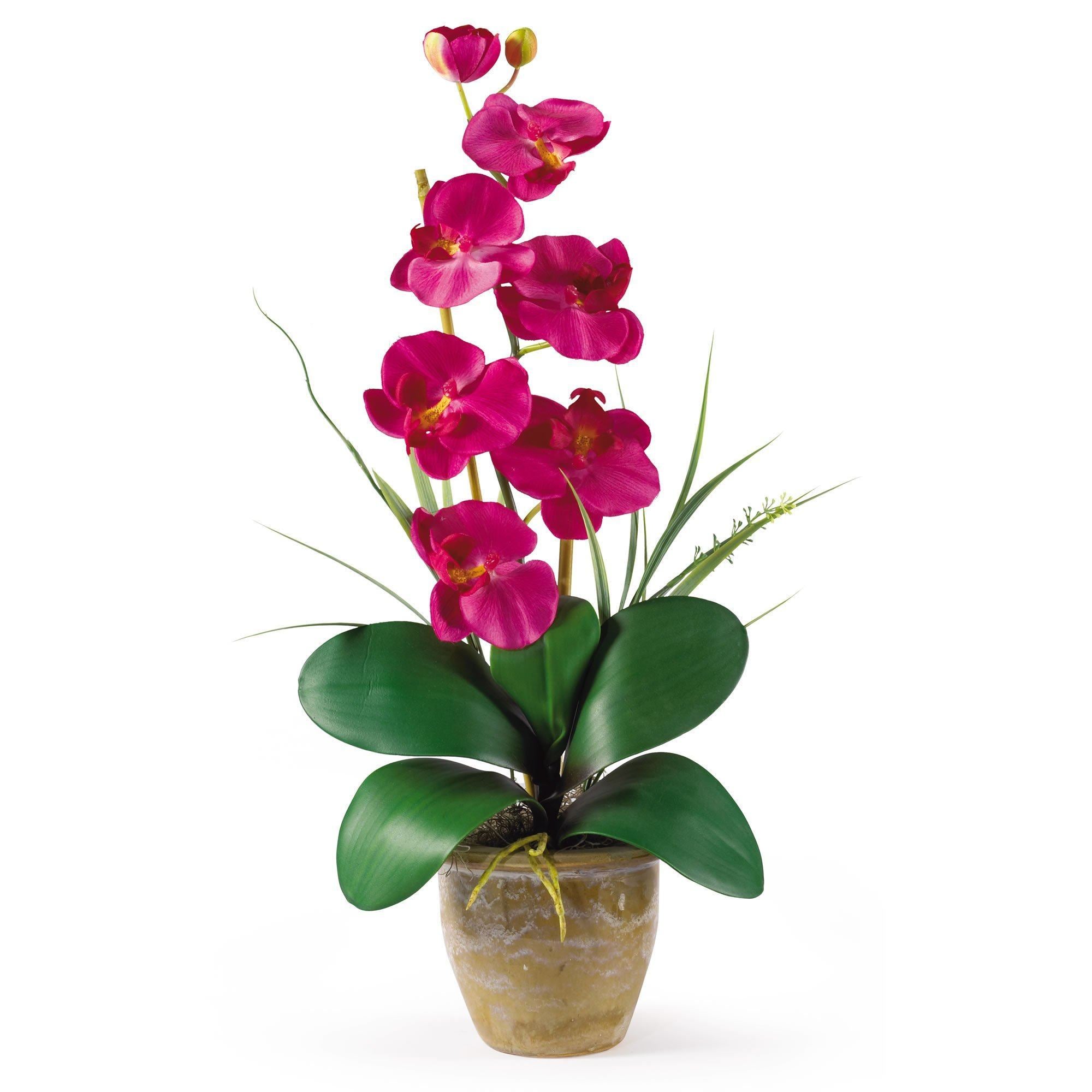 Single Stem Phalaenopsis Silk Orchid Arrangement 1016 Nearly Natural