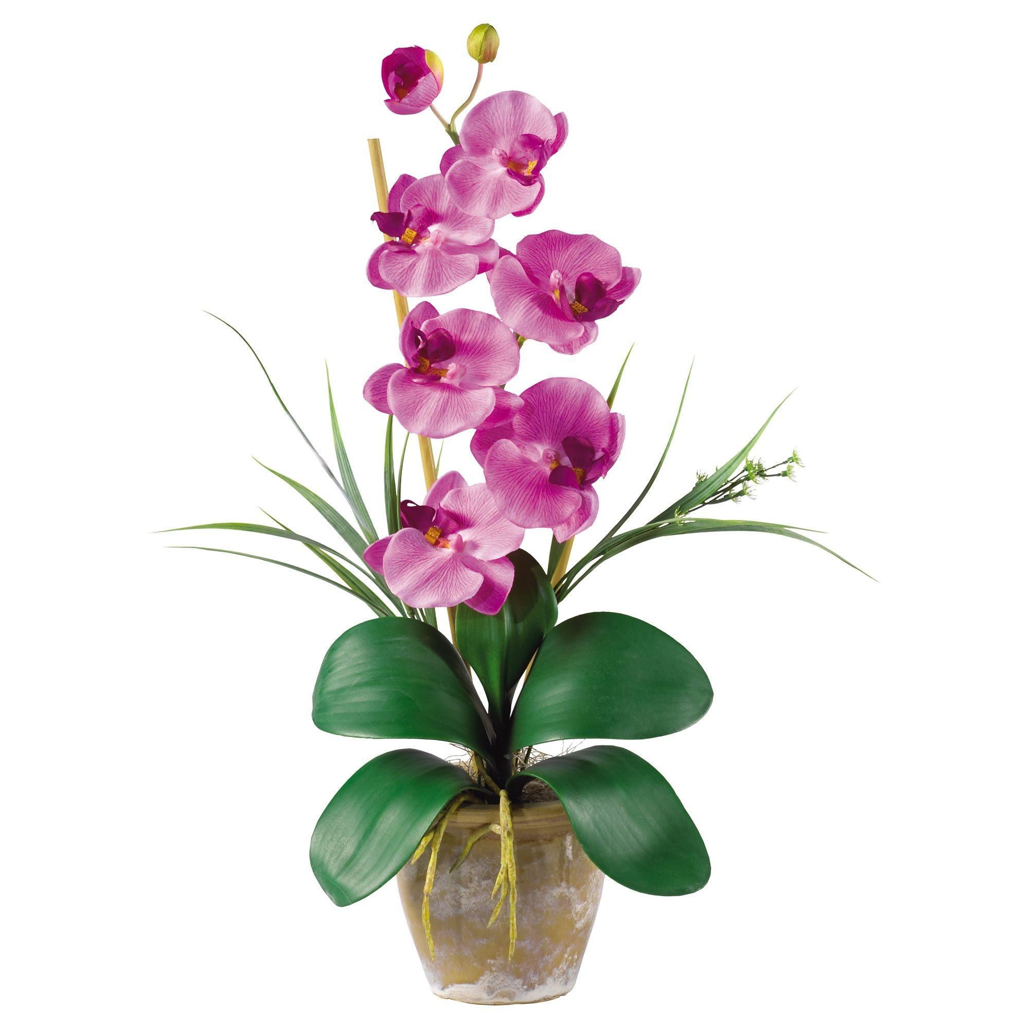 Single Stem Phalaenopsis Silk Orchid Arrangement 1016 Nearly Natural 8968