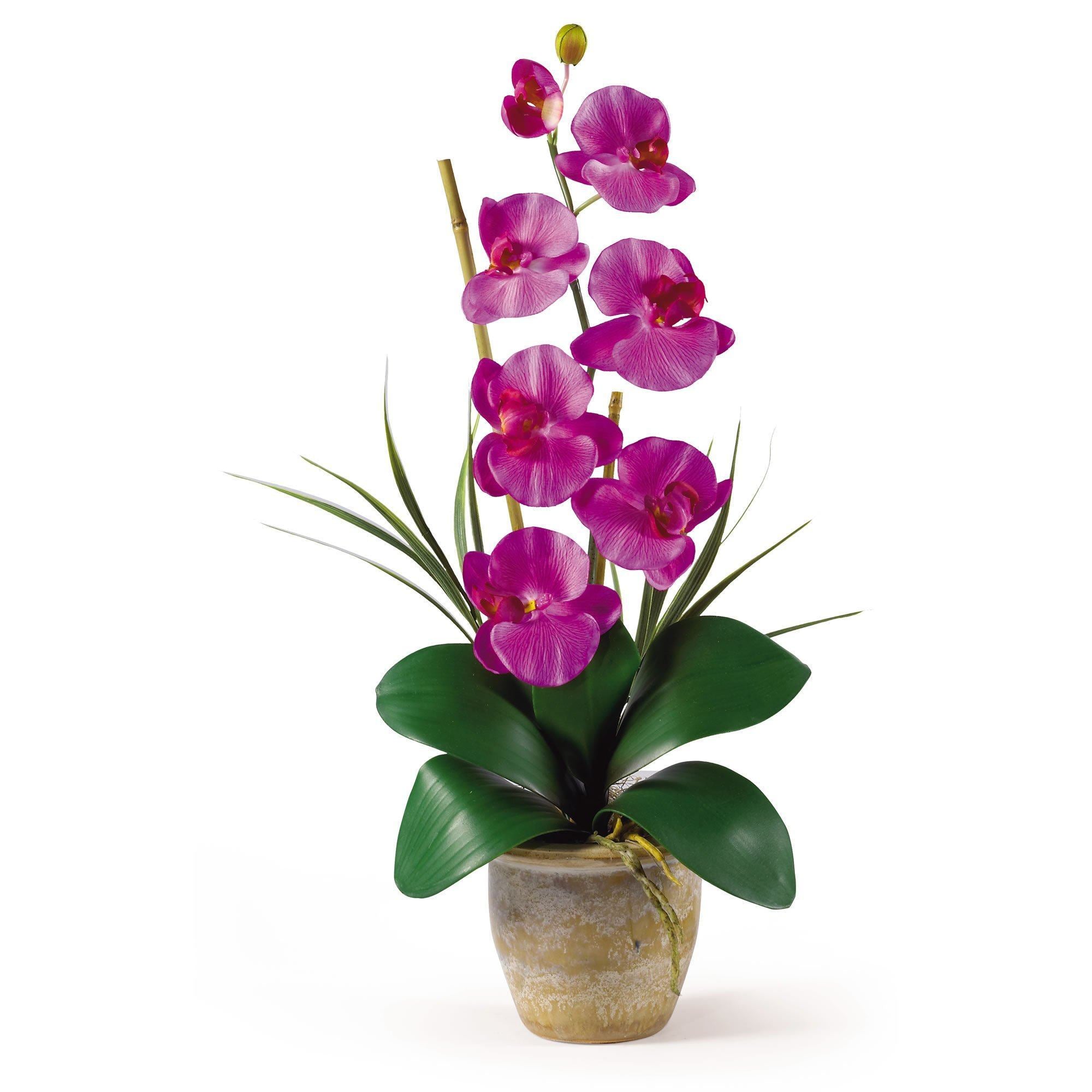 Single Stem Phalaenopsis Silk Orchid Arrangement 1016 Nearly Natural