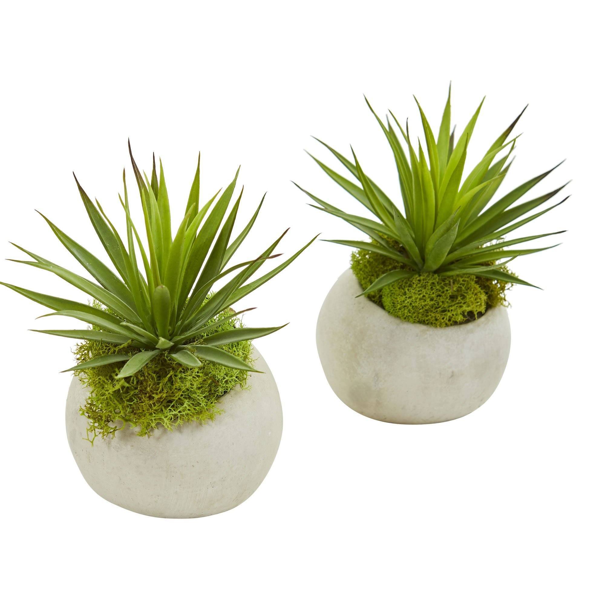  Spiky Agave Artificial Plant in Planter (Set of 2) 