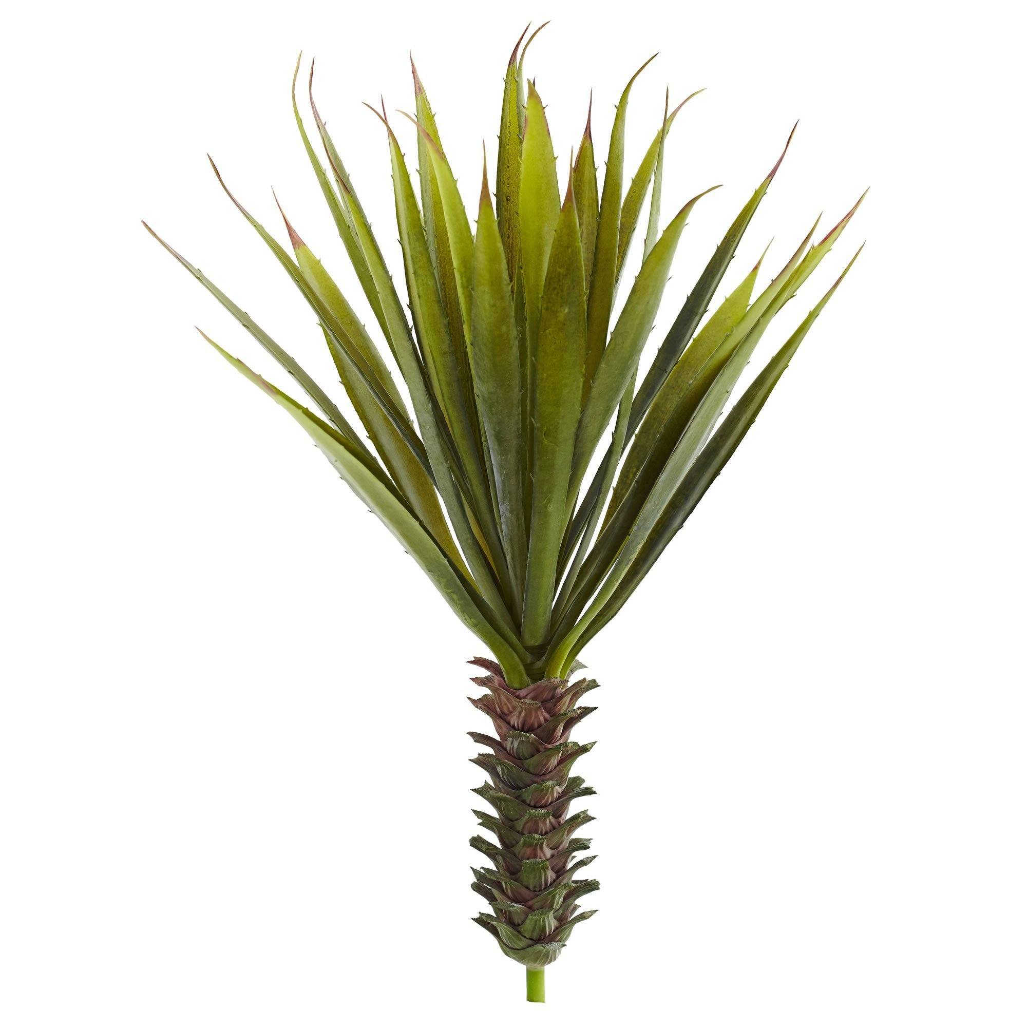 Spiky Agave Succulent Plant (Set of 2) | Nearly Natural