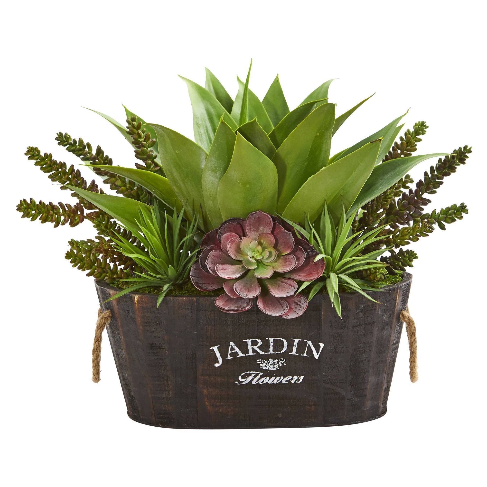  Succulent Garden in Wood Planter 