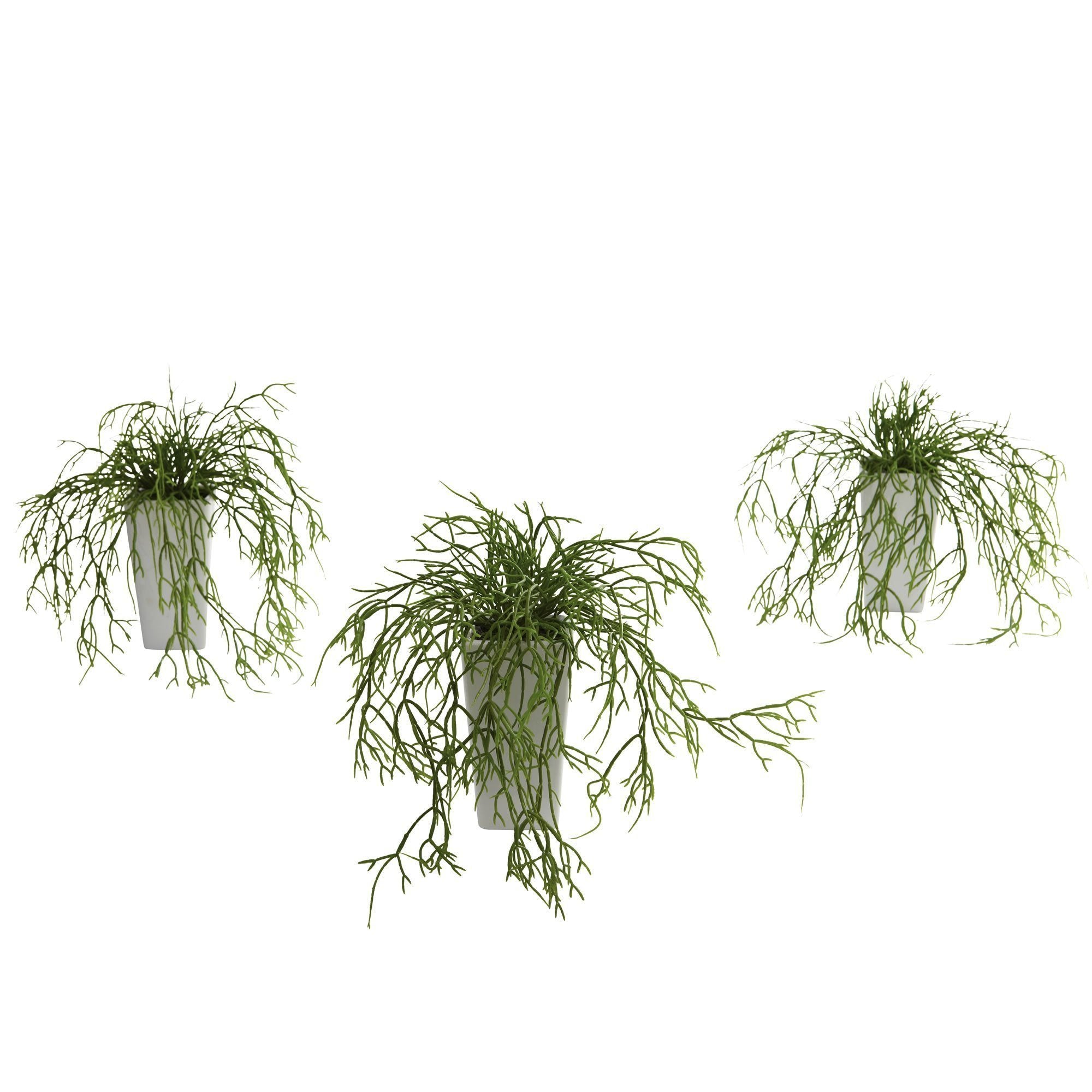  Wild Grass w/White Vase (Set of 3) 