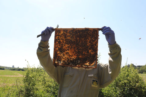 Beekeeper Jim Cooper and his honeybees