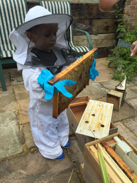 Youngest beekeeper in UK