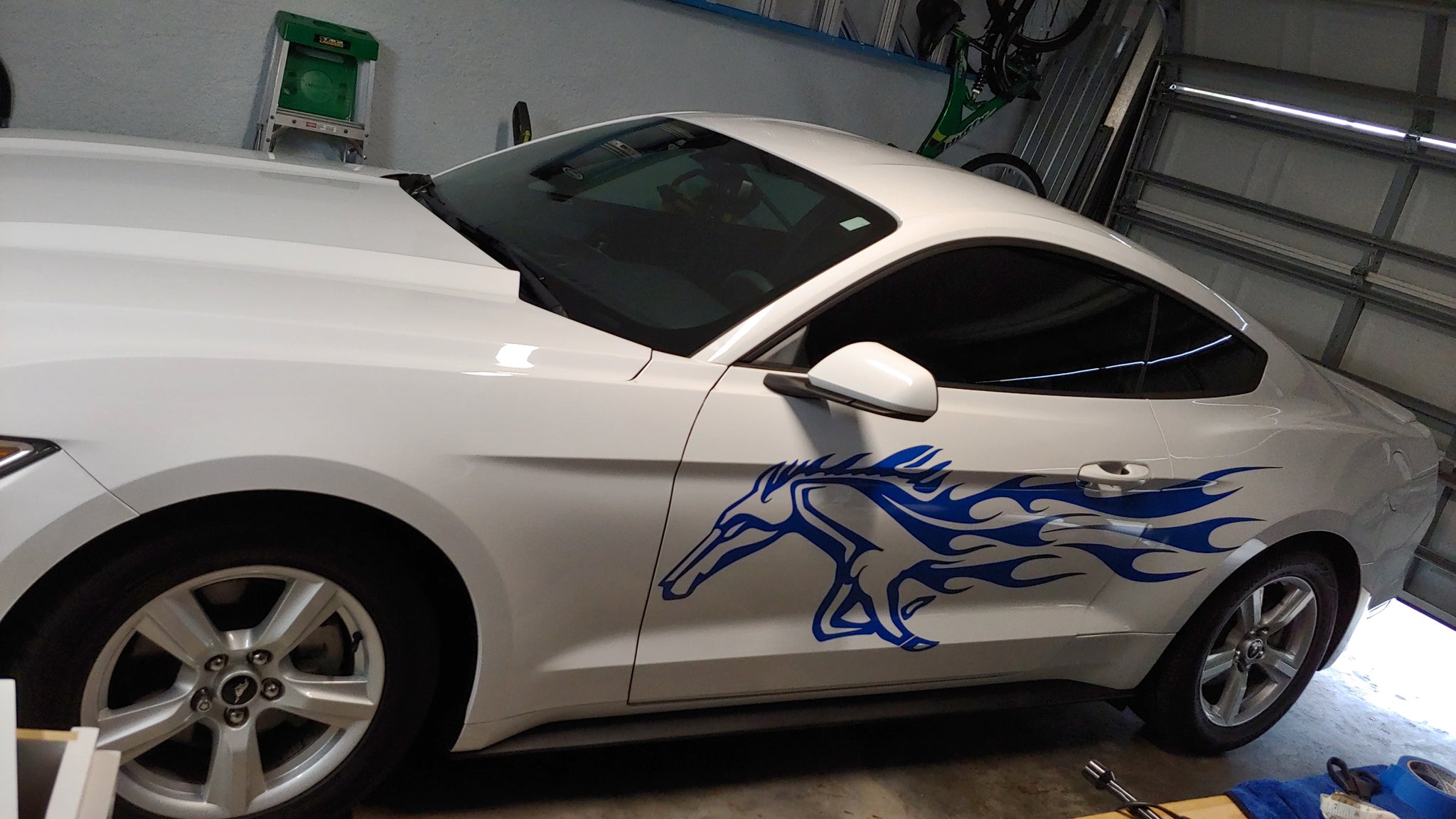 horse blue vinyl flames on white mustang car