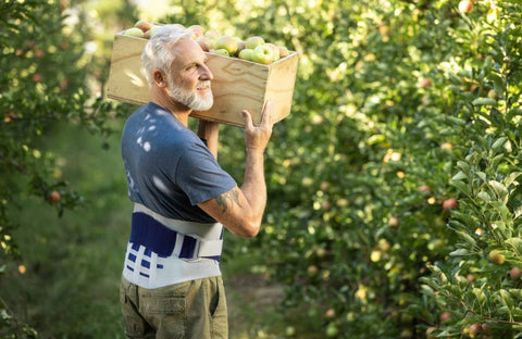 Man carrying a crate of apples at the orchard. He is wearing Bauerfeind's LumboLoc Back Brace to help with chronic back pain