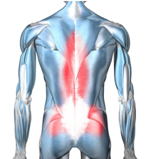 Diagram of the body highlighting in red chronic lower back pain