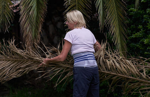 Woman clearing palm tree fronds from her backyard while wearing the LumboTrain Back Brace to avoid back pain