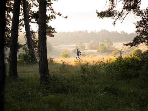 Man jogging through the woods