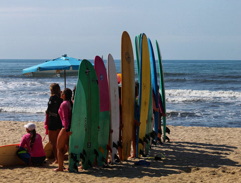 One of the most important surfing tips is picking the right board. This image shows a bunch of different surfboard types standing upright on a beach.