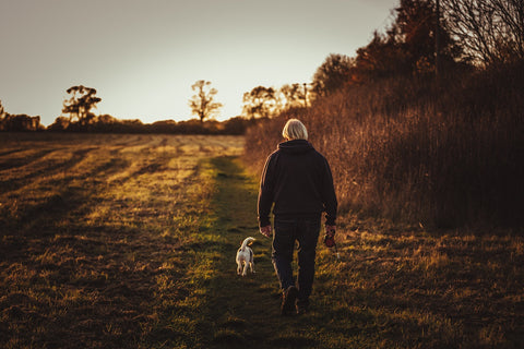 Older man walking his dog through the park at sunset. Walking is considered one of the best exercises for ankle arthritis.