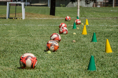 Soccer field lined with soccer balls and cones for training