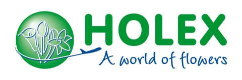 holex logo