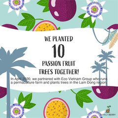 Buy Coffee Beans, Plant Trees: Impact Berry organic fair trade Coffee Hong Kong_passionfruit