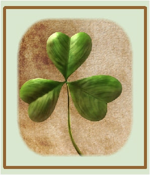 shamrock for green collection