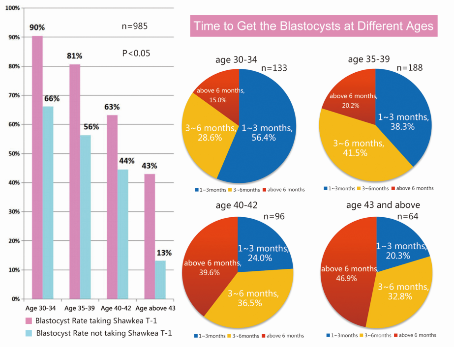 shawkea comparative study blastocyst rate
