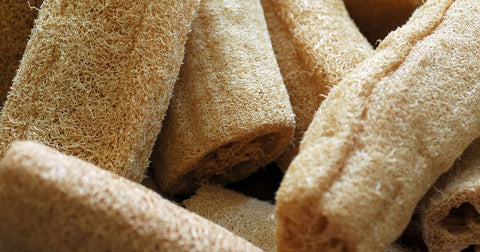 natural loofah sponge - zero waste mvmt, sustainable luffa sponge