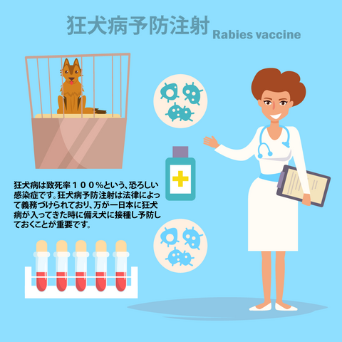 Alice'sDog & Cat Veterinarian Column Rabies Vaccination