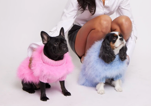 Maxborn fashionable dog clothes