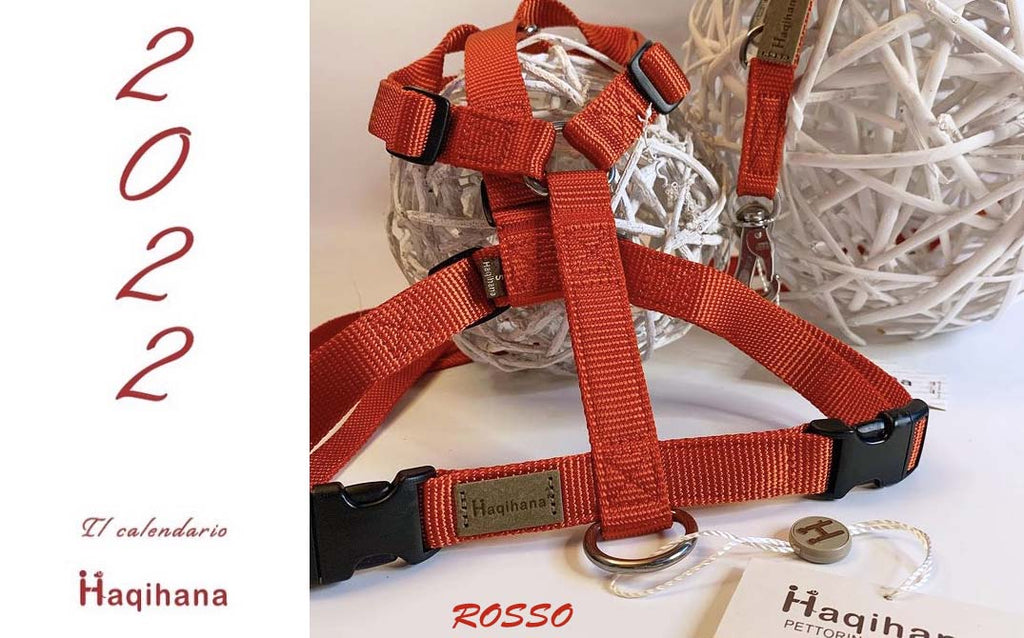 New arrival of Hakihana Rosso color