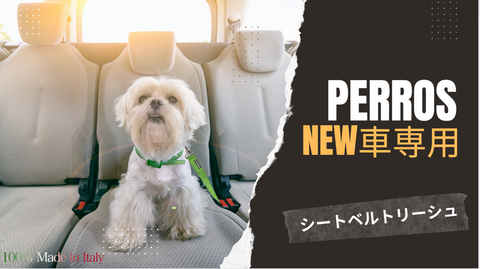 犬の車専用 リーシュ