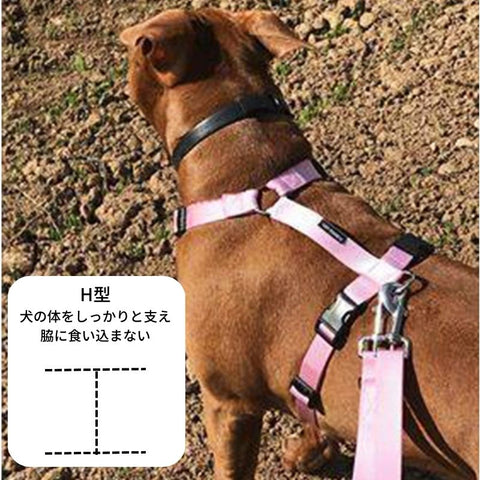 Perlos harness H type harness