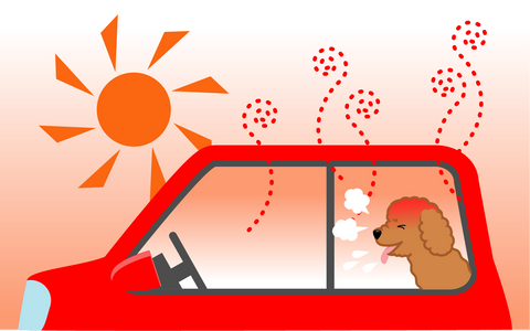 Alice's Dog & Cat Veterinarian Column What is heatstroke in pets? Inside the car