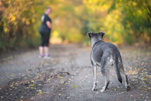 Reasons for walking slowly and moving slowly